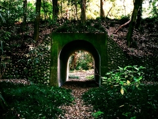 5 暇つぶしのネタ